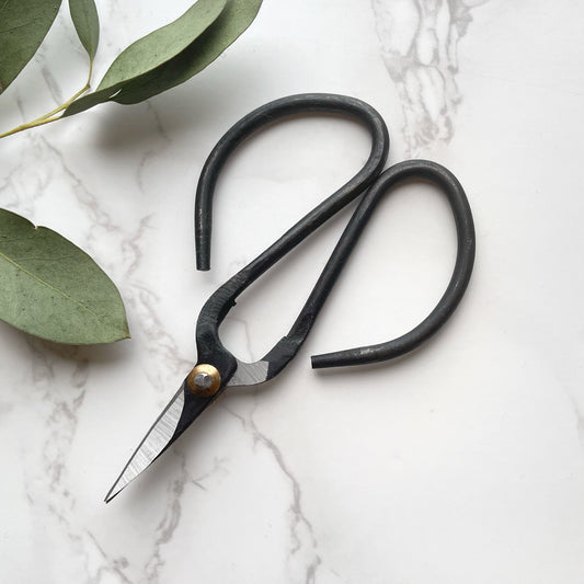 Vintage Scissors